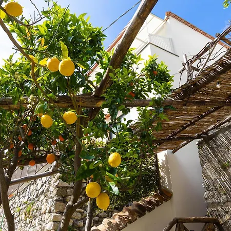 Yourhome - Amami Positano